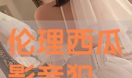 伦理西瓜影音在线观看,深度解析伦理题材影视作品的魅力