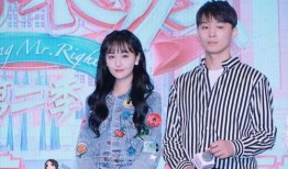 娱乐圈吃瓜观后感,揭秘明星背后的真相与争议